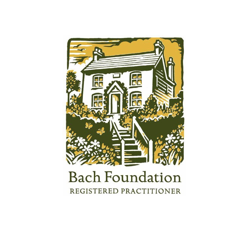 Logo Bach Foundation de la page accueil