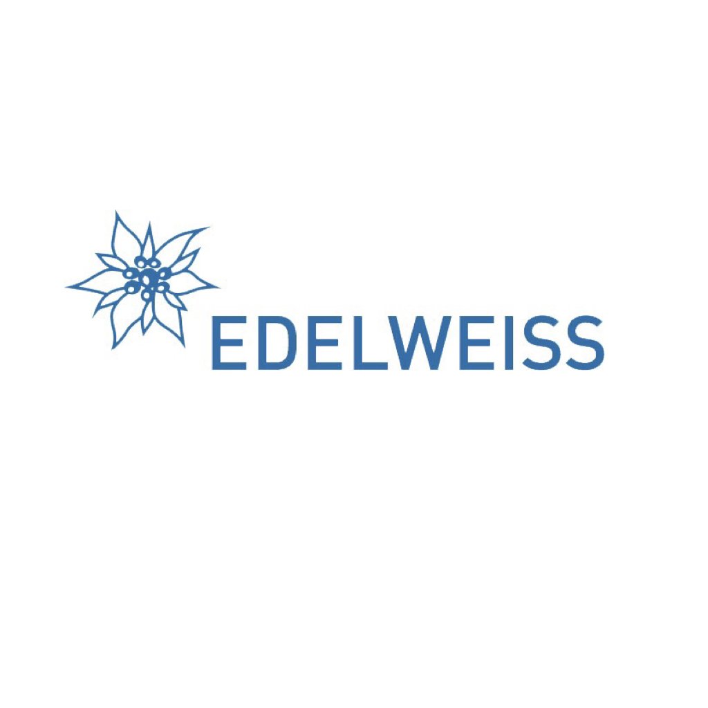 Logo EIDELWEISS de la page accueil
