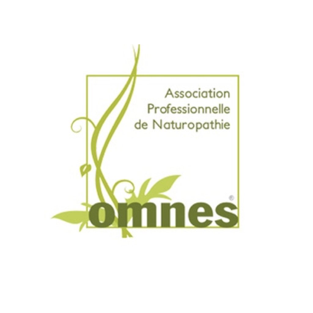 Logo de l'omnes de la page accueil
